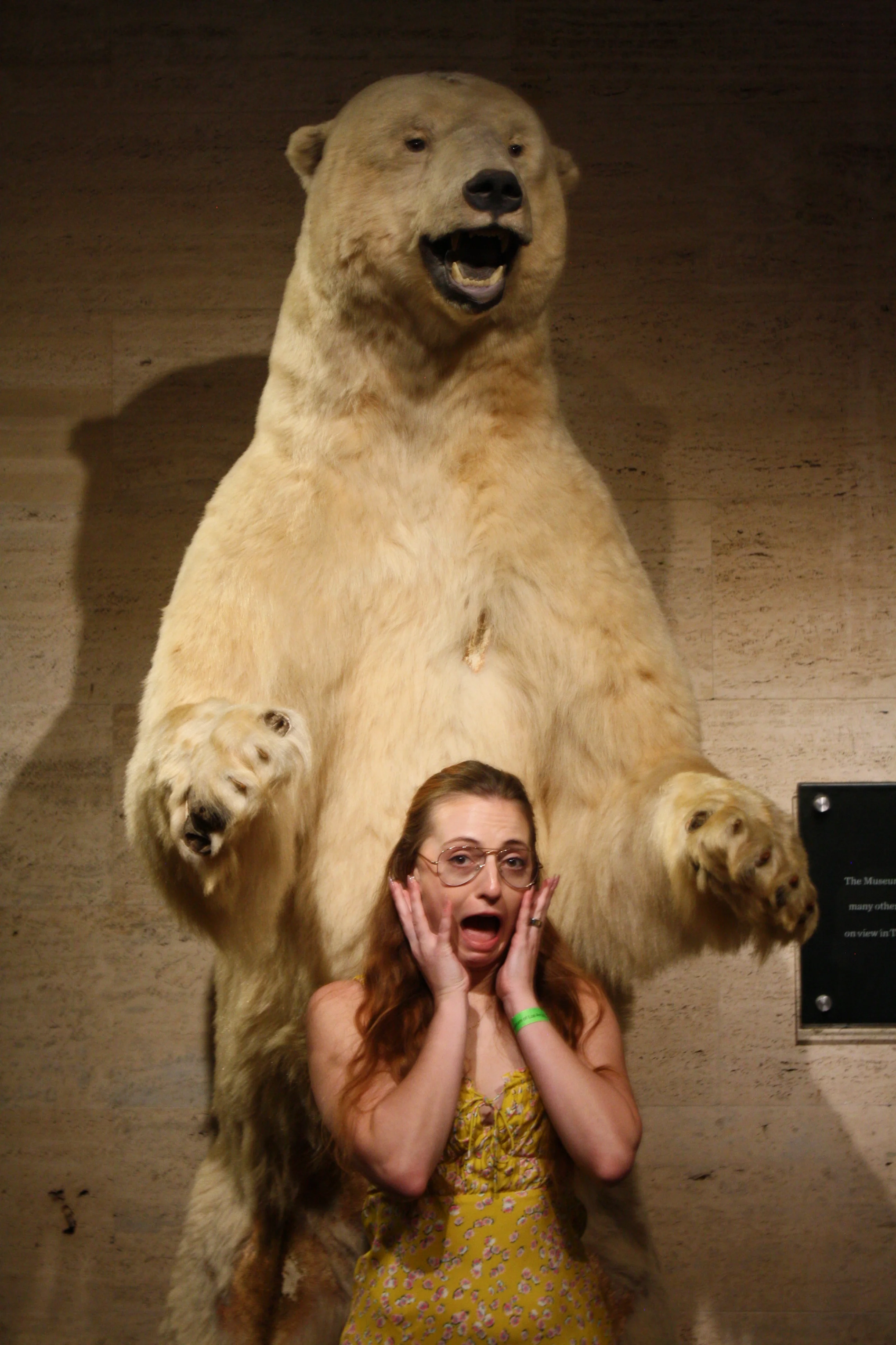 Jordie Morris posing with hands on her cheeks in front of a museum polar bear exhibit.